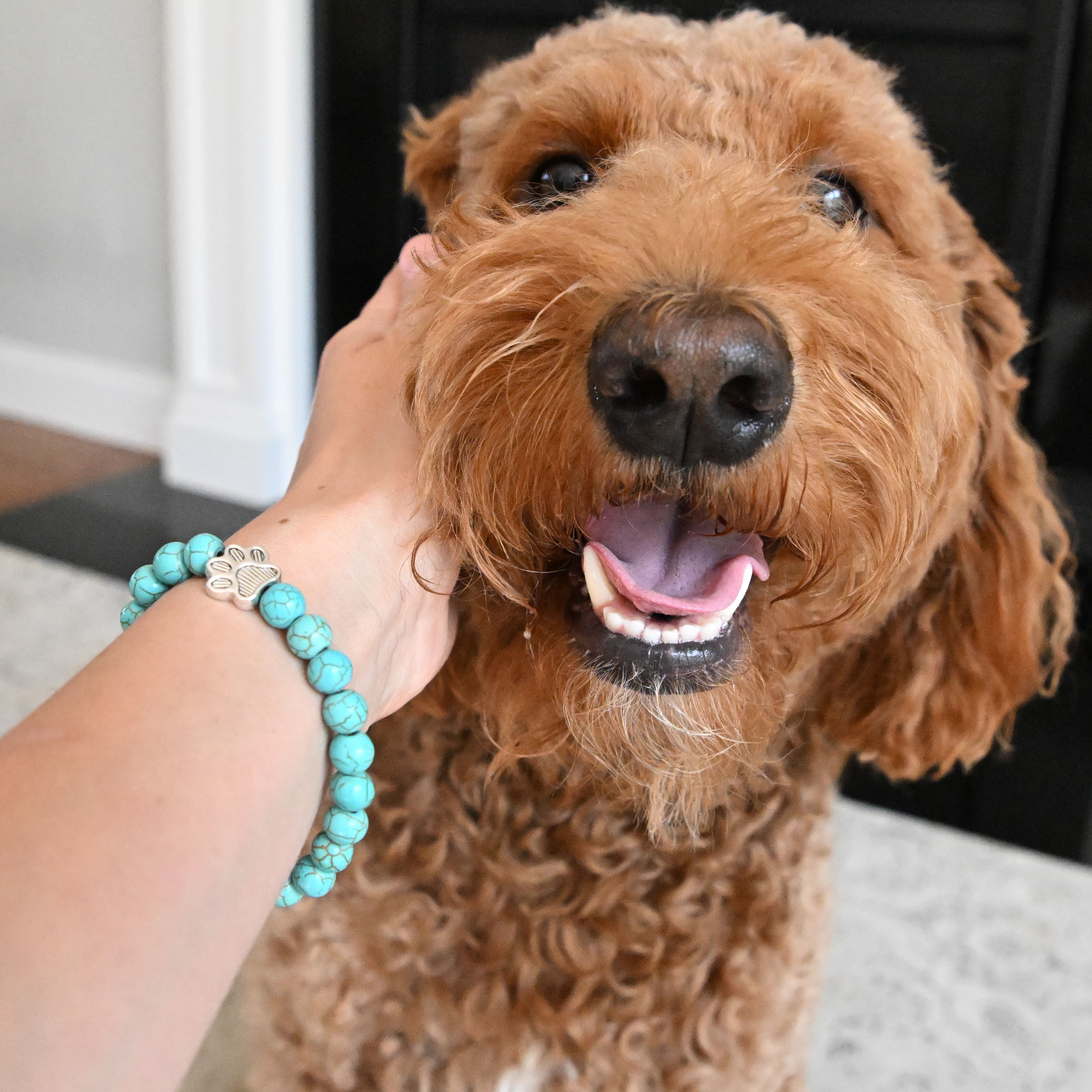 🐾 Pawsitively Adorable Beaded Bracelet 🐾