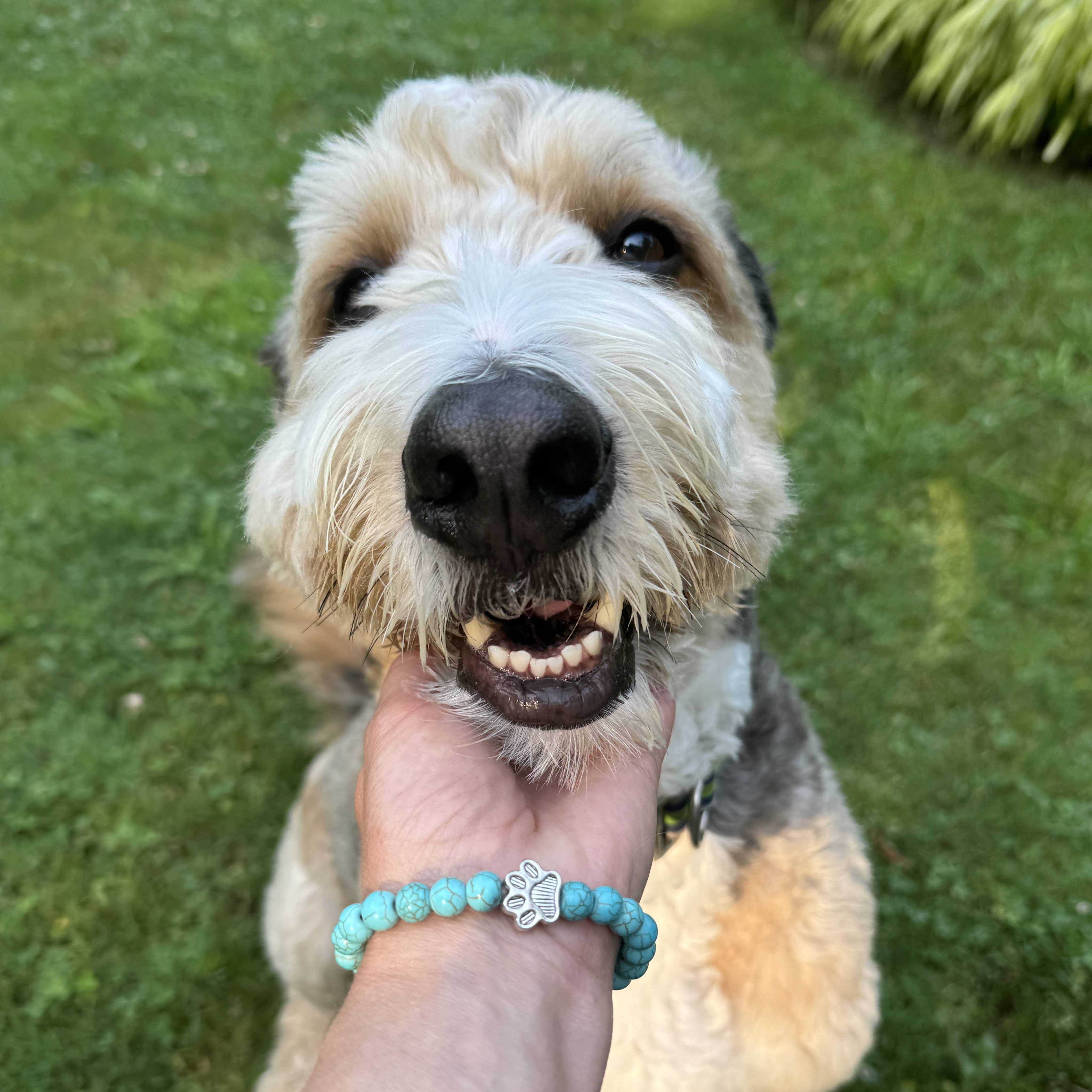 🐾 Pawsitively Adorable Beaded Bracelet 🐾